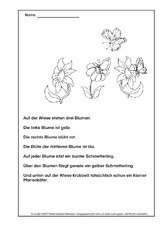 Lesen-und-malen-2.pdf